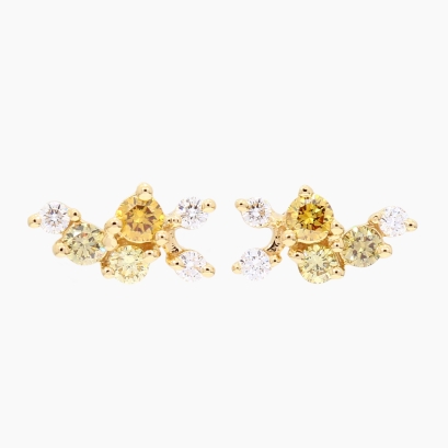 Strelitzia rainbow coloured diamond cluster stud earrings