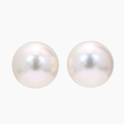 Abilene 10mm white South Sea pearl stud earrings