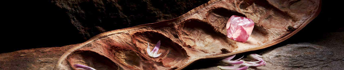 Rough pink diamond displayed against a Western Australian landscape
