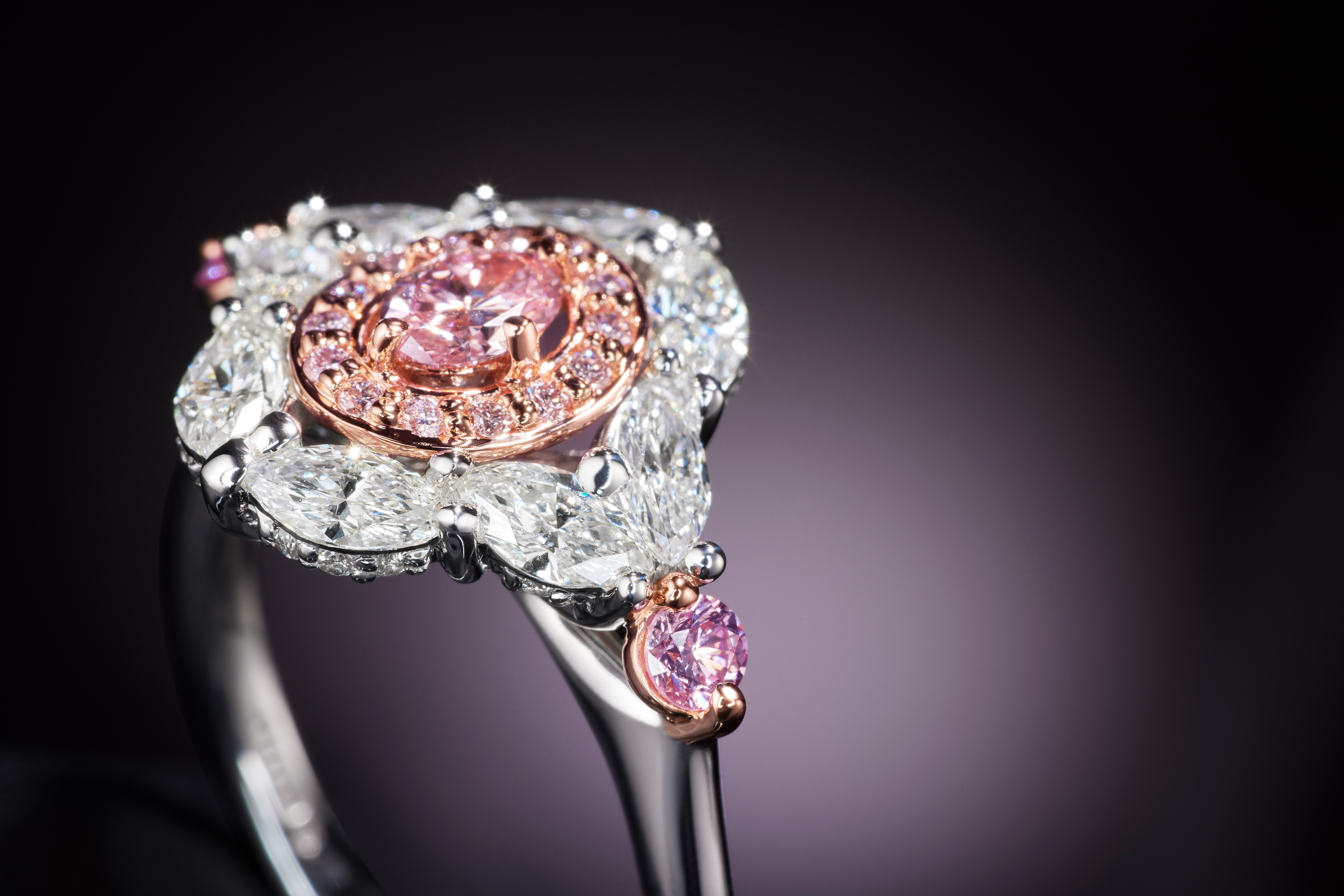 Argyle pink diamond exhibition