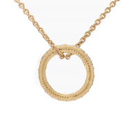 Indiana white diamond circle necklace