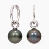 Caledonia black Tahitian pearl detachable huggie earrings