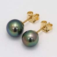 Abilene black Tahitian pearl stud earrings
