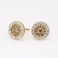 Cherish champagne diamond cluster stud earrings