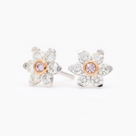 Bloom Argyle pink and white diamond floral stud earrings