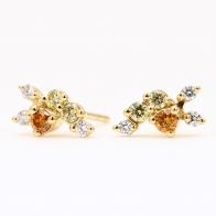 Strelitzia rainbow coloured diamond cluster stud earrings