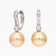 Pacifica gold South Sea pearl and white diamond earrings