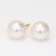 Abilene white South Sea pearl stud earrings