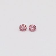 0.10 Total Carat Pair Of Argyle Pink Diamonds