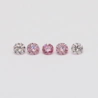 0.20 Total carat parcel of round cut Argyle pink diamonds