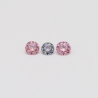 0.17 Total carat trio parcel of 5PP Argyle pink and  BL3 Argyle blue diamonds