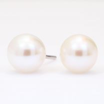 NXT Abilene 8-9mm white fresh water pearl stud earrings