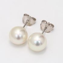 Abilene White South Sea Pearl Stud Earrings