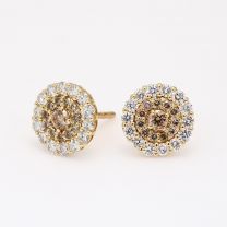 Cherish champagne diamond cluster stud earrings