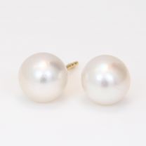 Abilene white South Sea pearl stud earrings