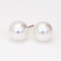 Abilene South Sea white pearl stud earrings
