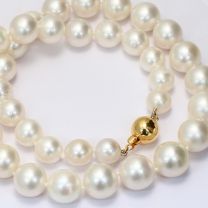 Lush white South Sea pearl strand