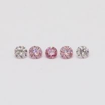 0.20 Total carat parcel of round cut Argyle pink diamonds
