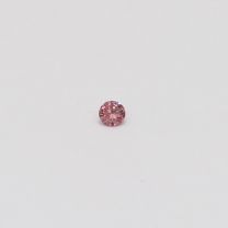 0.03 Carat Round Cut 1P Argyle Pink Diamond