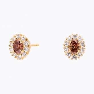 Choir champagne and white diamond halo stud earrings