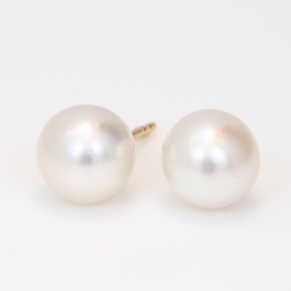 Abilene 8-9 mm white South Sea pearl stud earrings