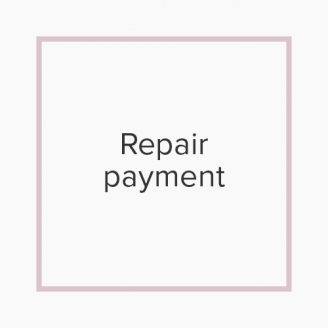 Repair Payment