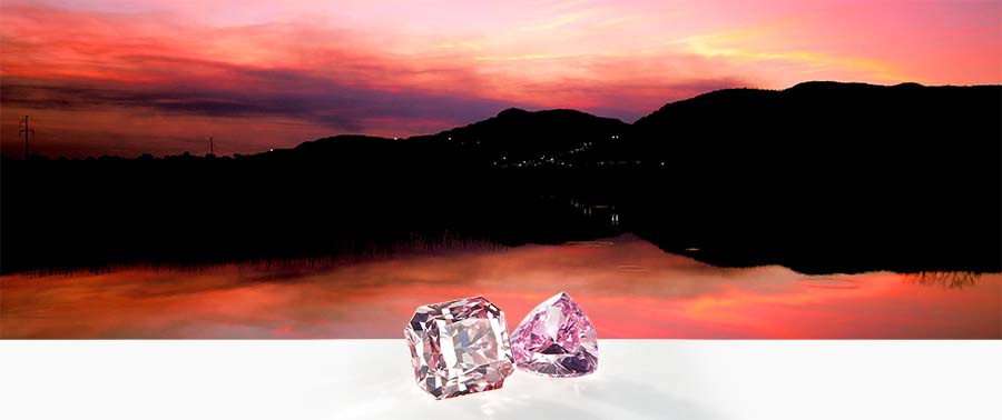 Argyle Pink Diamonds | Nina's Jewellery